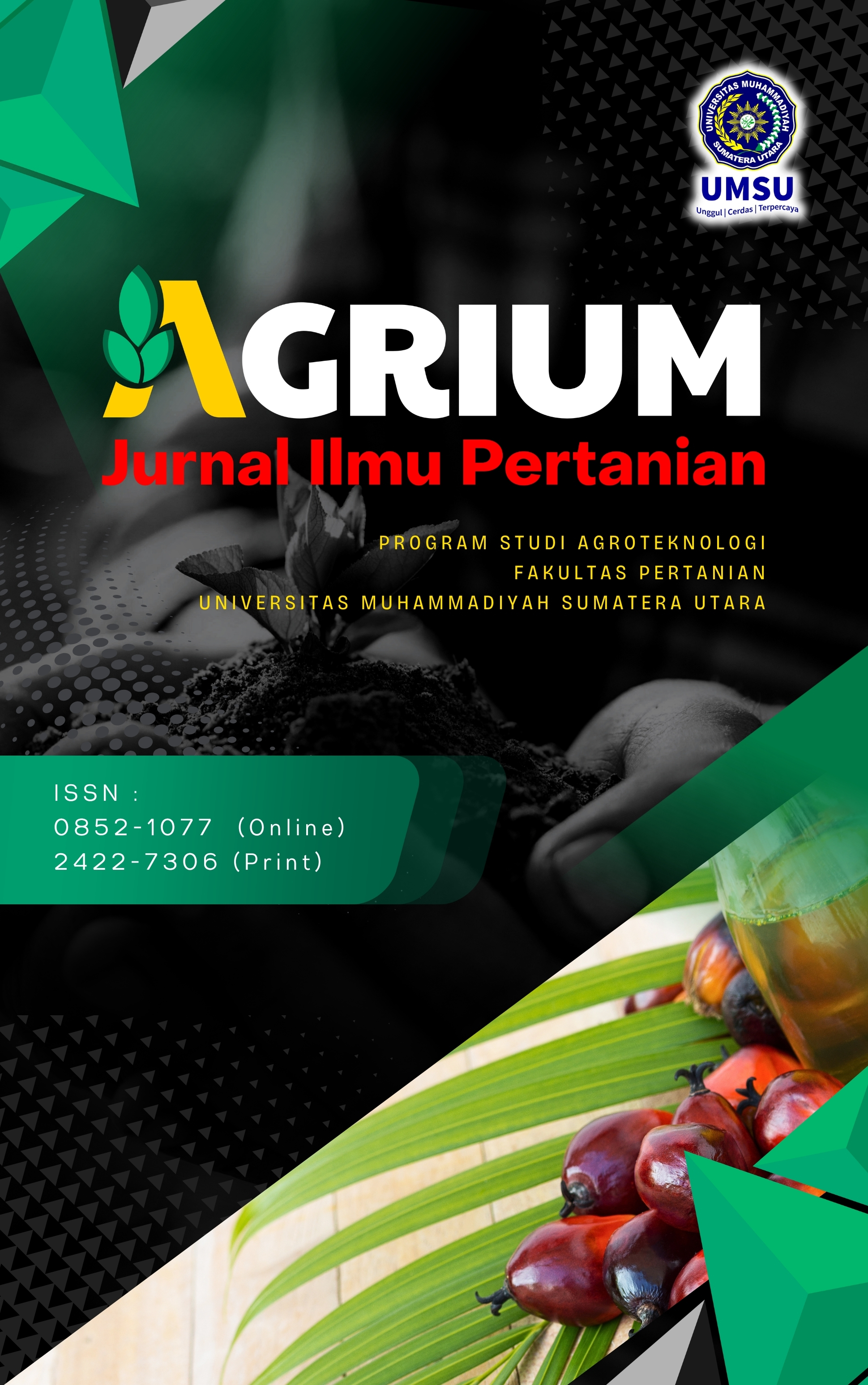 Sampul IJBE