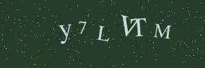 Validation image