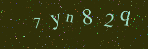Validation image