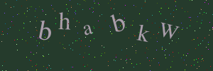 Validation image